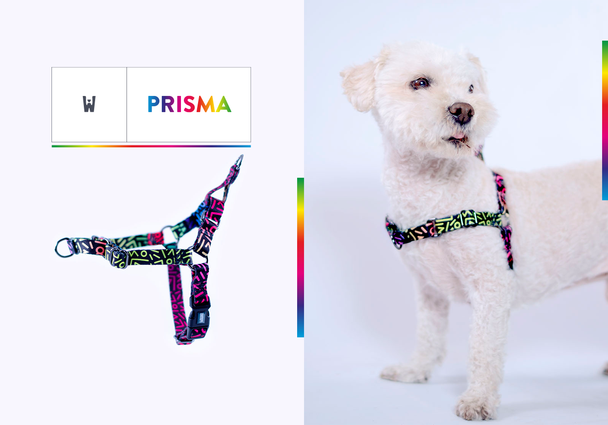 Prisma_Home_pull Arnes Non Pull Prisma Wauke