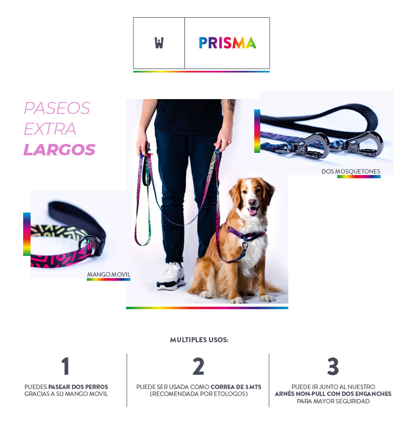 Pack Pro Prisma