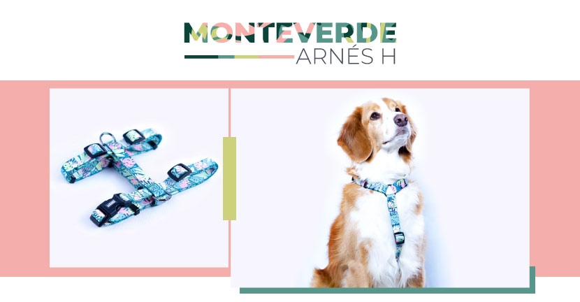 Ficha Arnes Monteverde