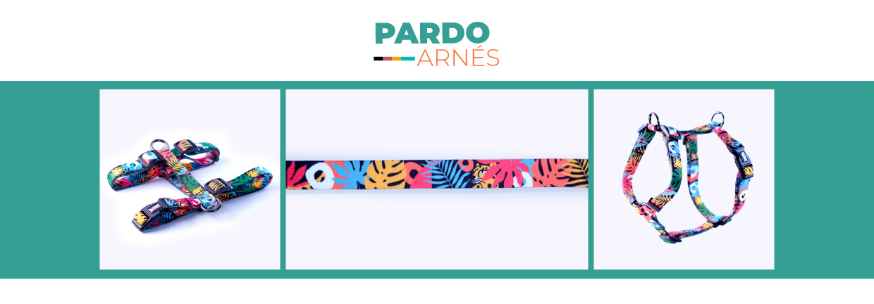 Arnés H Pardo