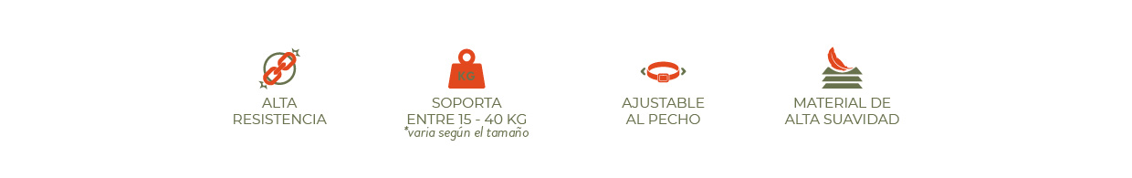Arnés H Toledo (L)