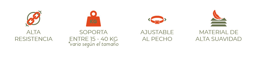 Arnés H Toledo (L)